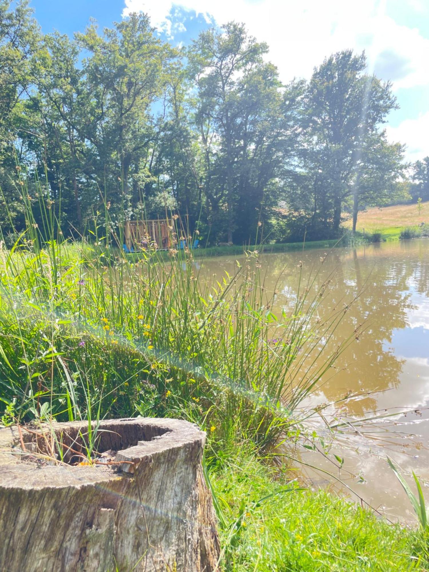 Gite Neuf Avec Jardin, Foret Et Etang Argenton Sur Creuse Ngoại thất bức ảnh